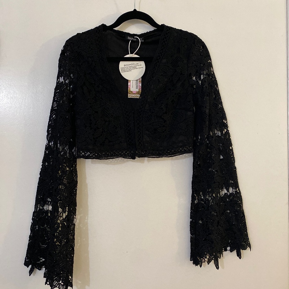Crop Long Sleeve Plunge Neck Lace top